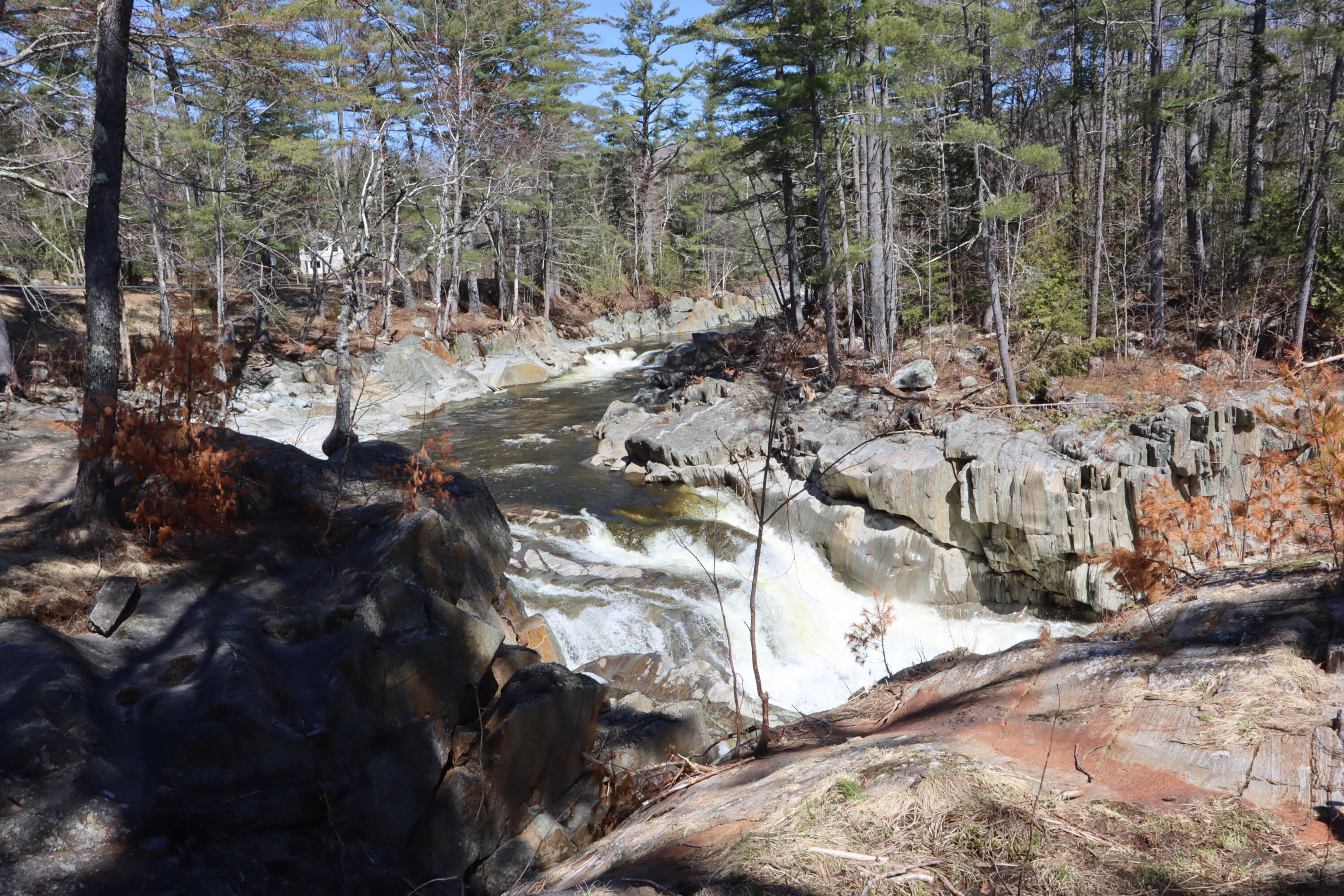 8 Dingle Hill Road Byron, ME 04275 - Photo 2 of 76 IMG_9359