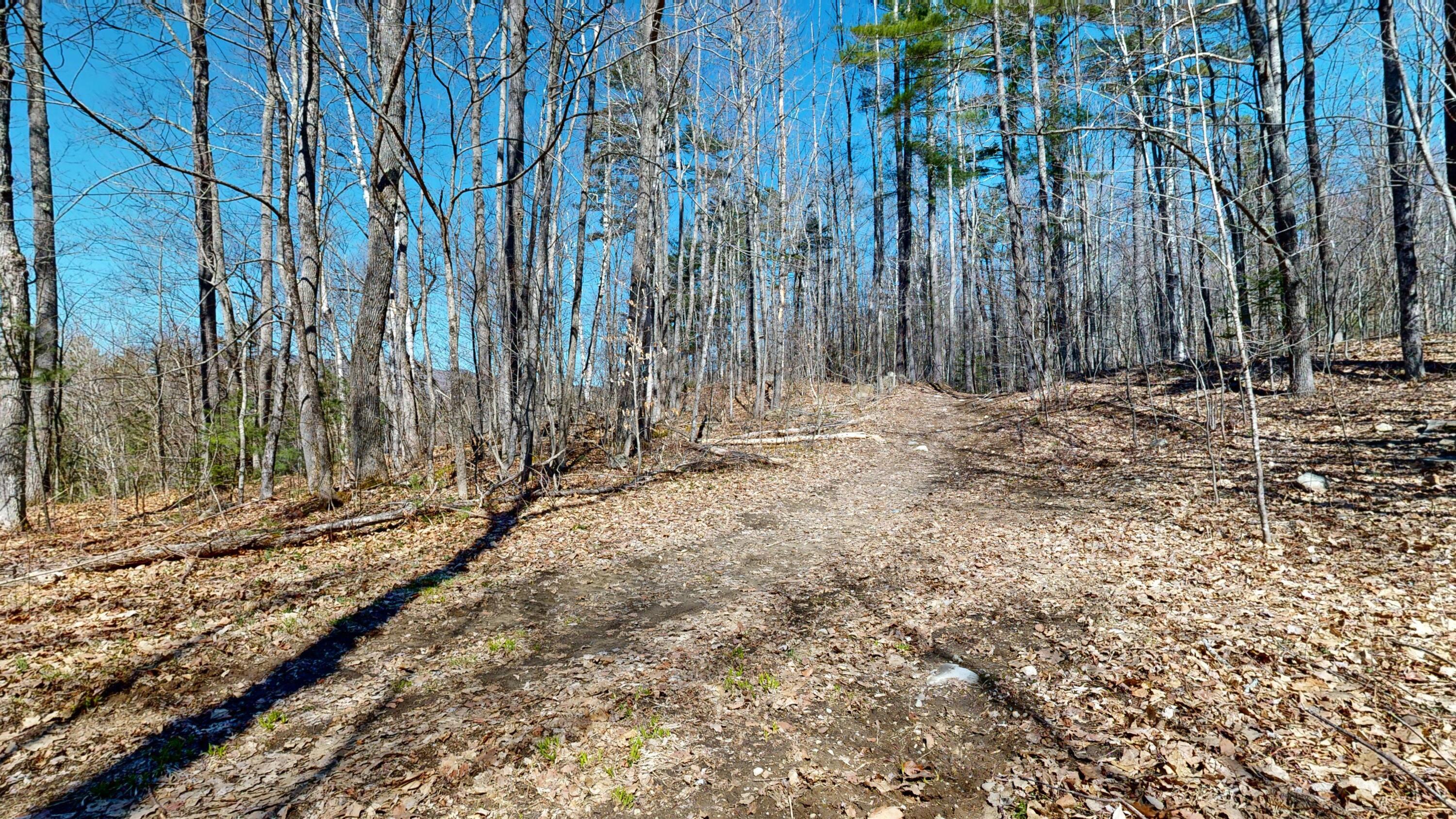 8 Dingle Hill Road Byron, ME 04275 - Photo 41 of 76 8-Dingle-Hill-Rd-Byron-ME-04275-04222024