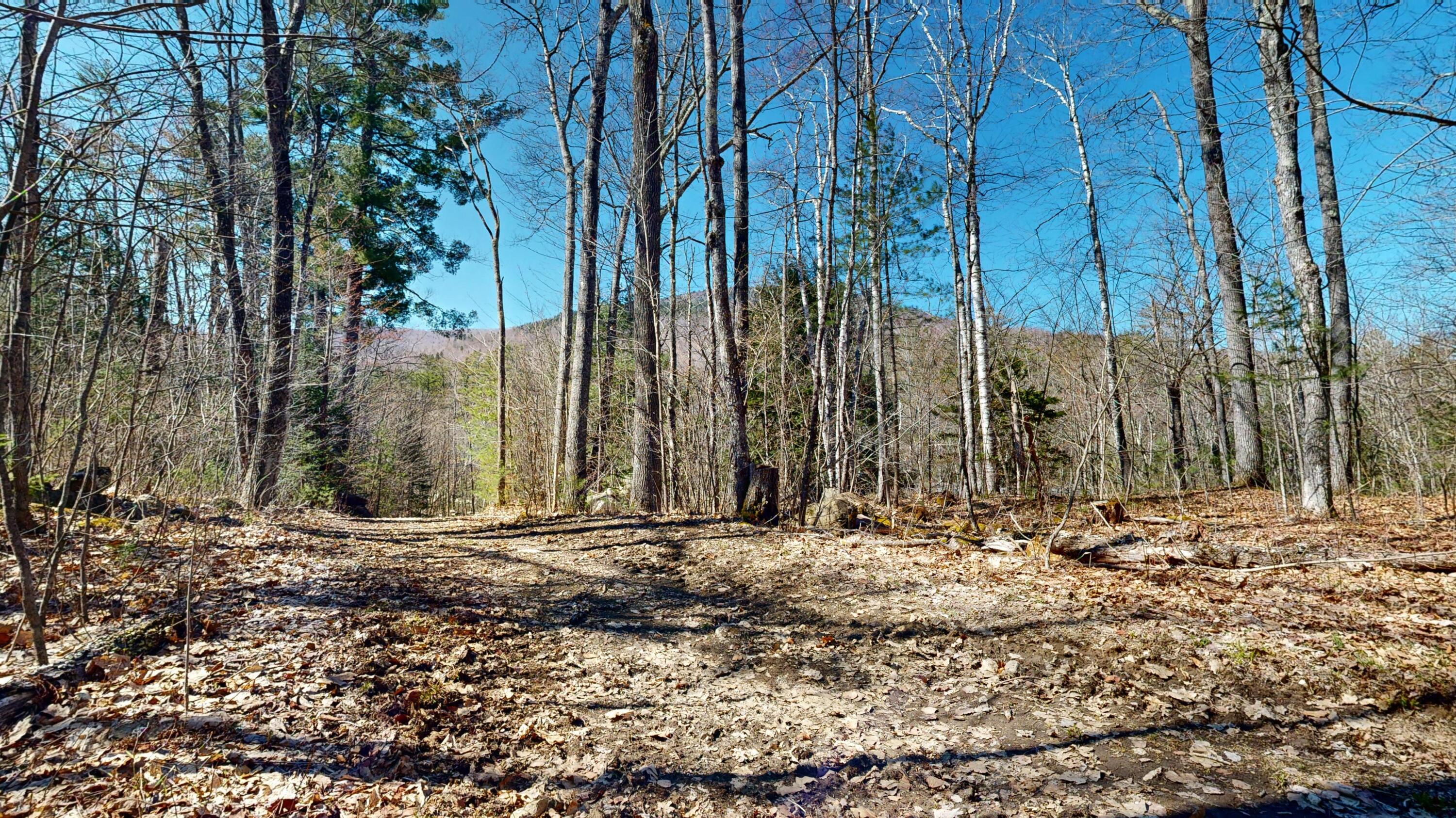 8 Dingle Hill Road Byron, ME 04275 - Photo 42 of 76 8-Dingle-Hill-Rd-Byron-ME-04275-04222024