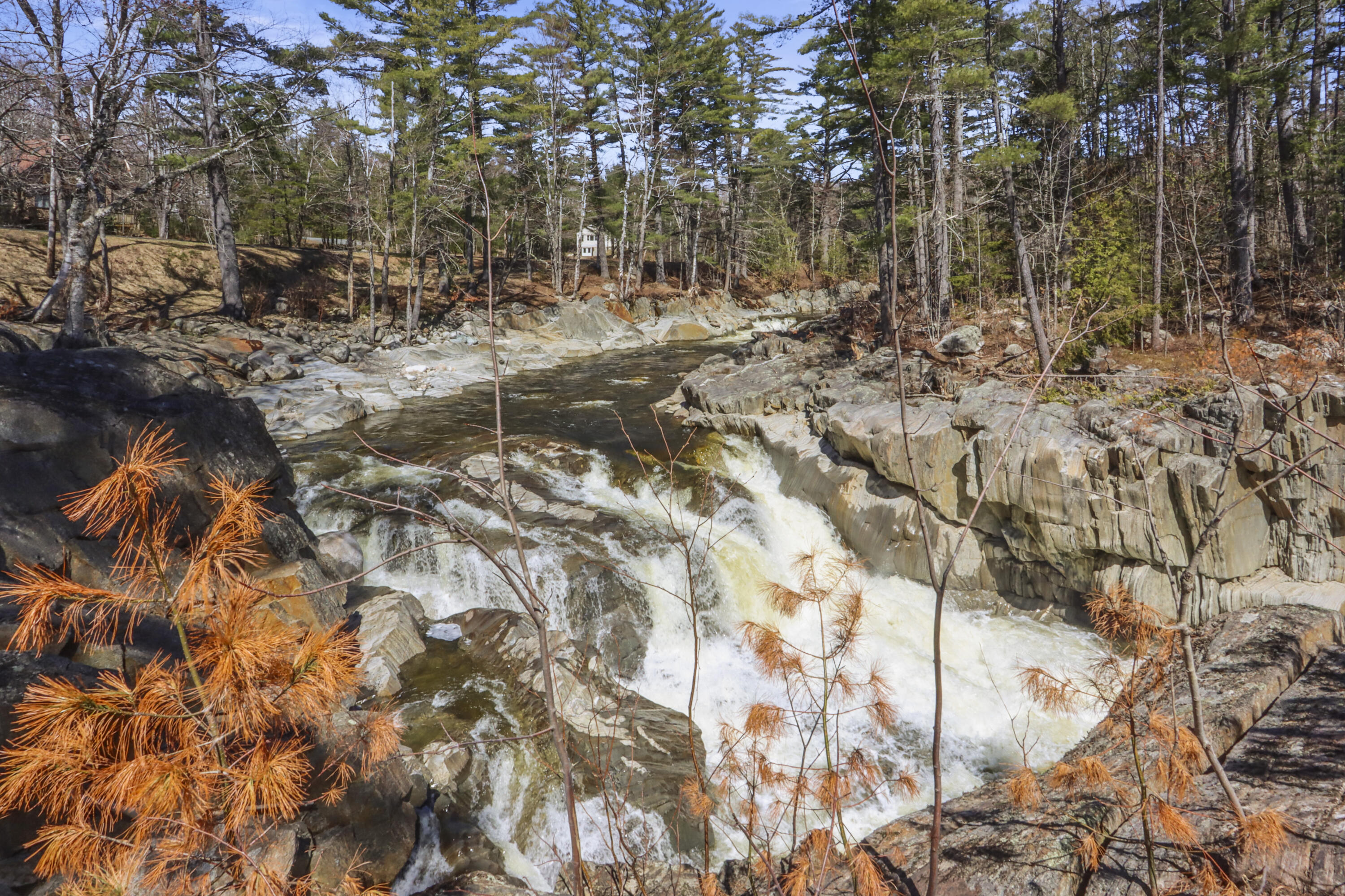 8 Dingle Hill Road Byron, ME 04275 - Photo 69 of 76 IMG_9360