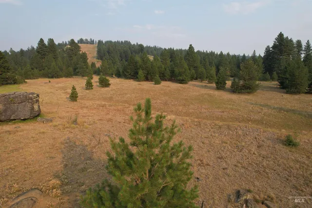 $275,000 | Tbd Lot 15 Whitefield Lane, McCall, ID 83638