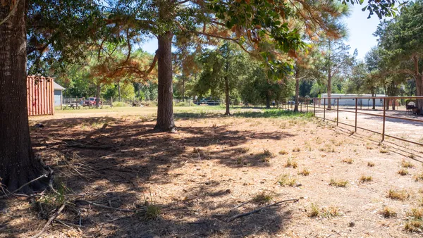 a view of dirt yard with trees