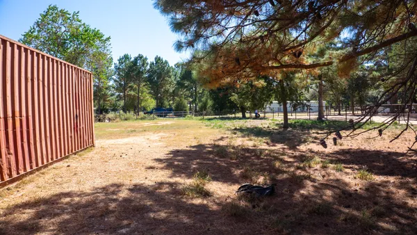 a view of a yard with a tree
