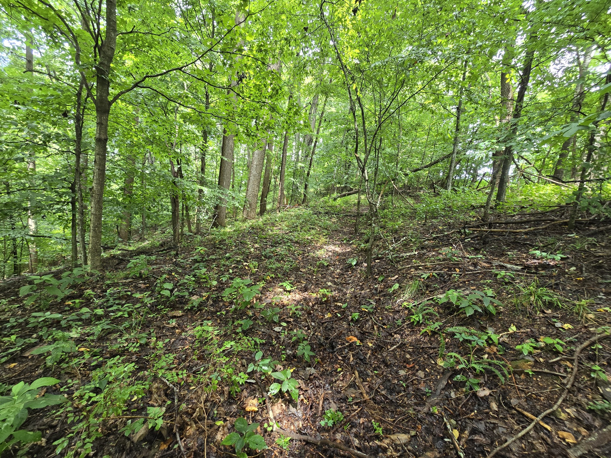 296 Little Creek Road Pleasant Shade, TN 37145 - Photo 21 of 32 Gallery Image 21