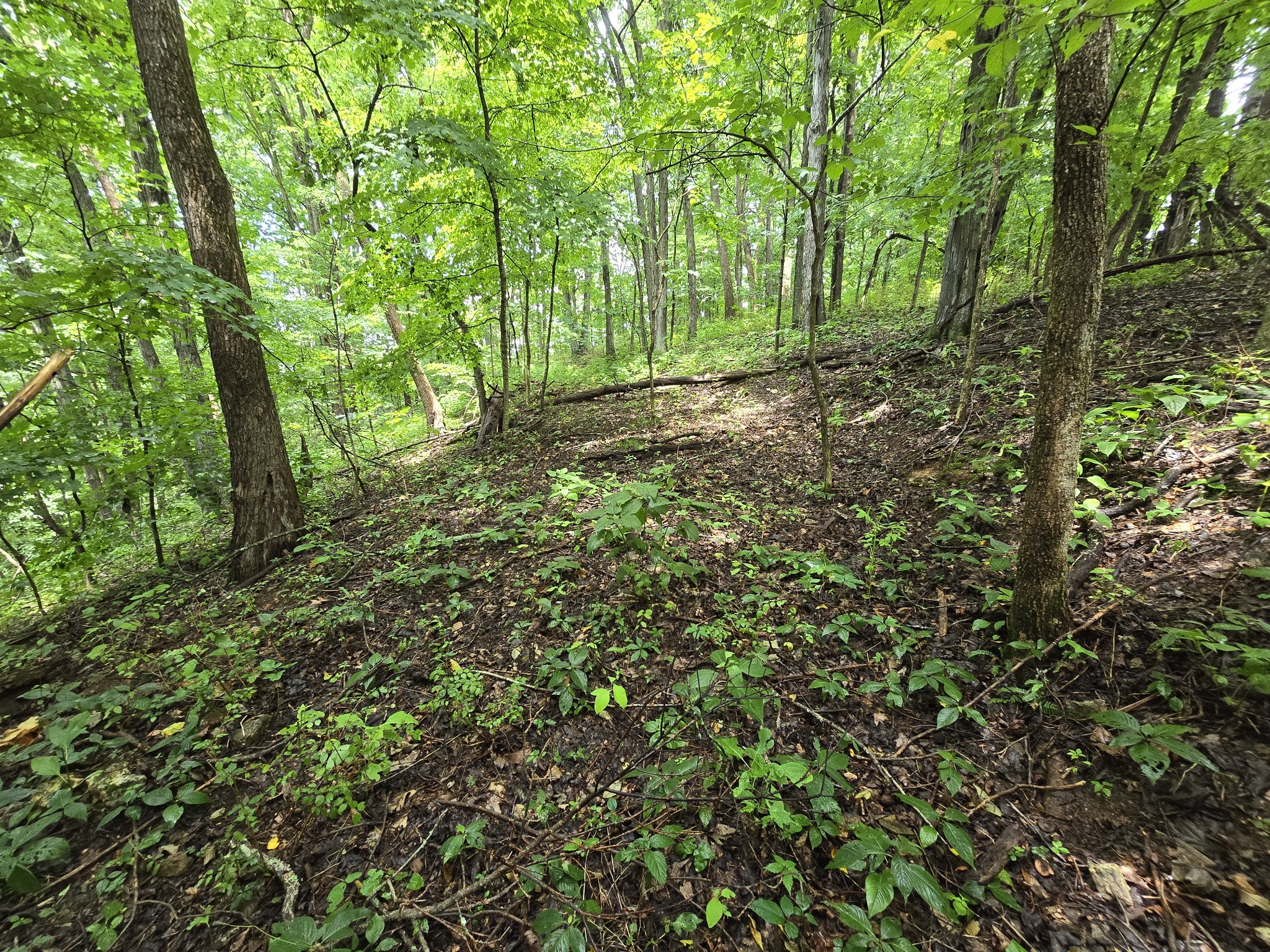 296 Little Creek Road Pleasant Shade, TN 37145 - Photo 22 of 32 Gallery Image 22