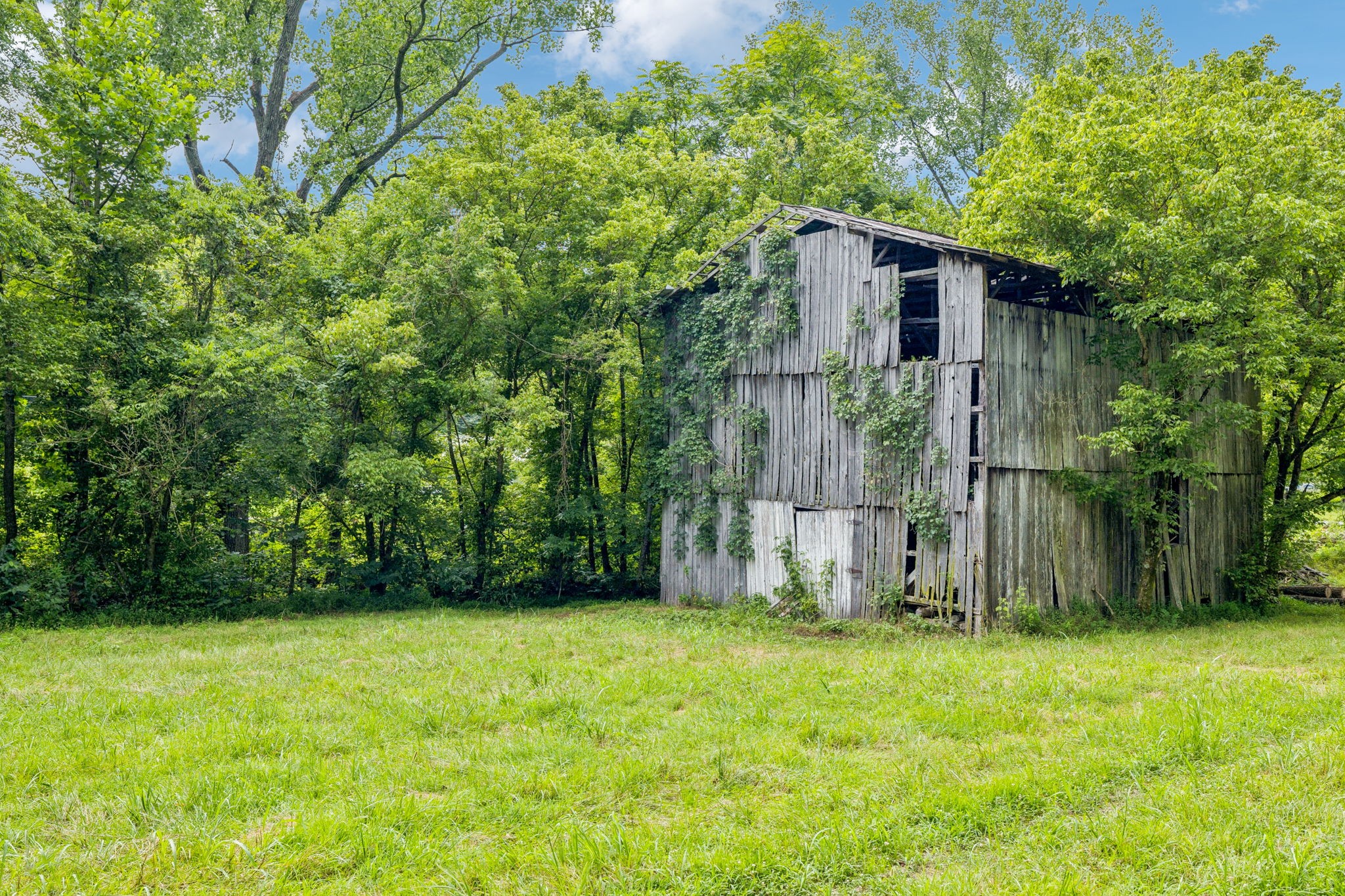 296 Little Creek Road Pleasant Shade, TN 37145 - Photo 3 of 32 Gallery Image 3