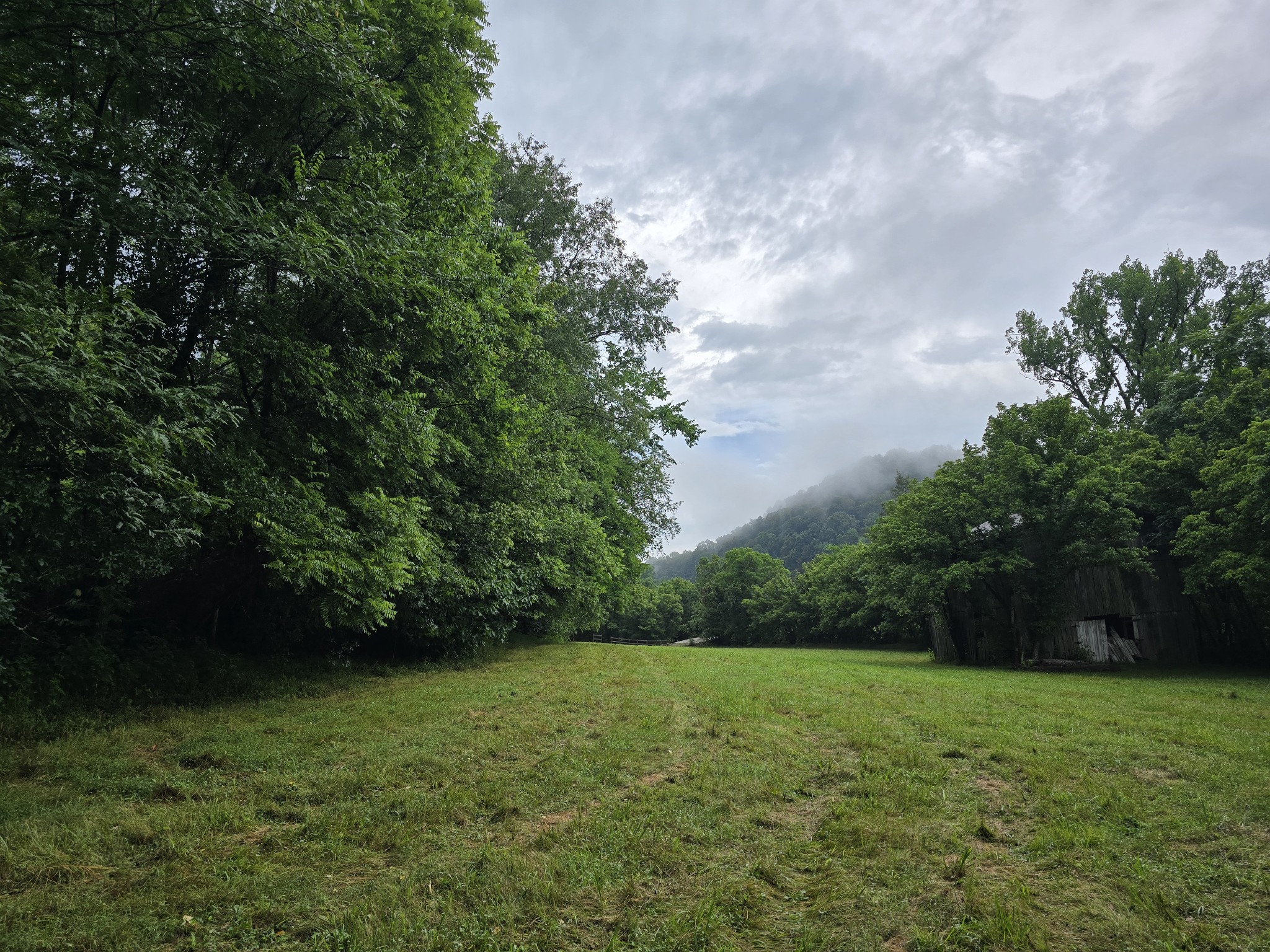 296 Little Creek Road Pleasant Shade, TN 37145 - Photo 4 of 32 Gallery Image 4