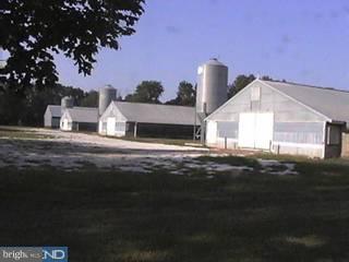 403 Log Cabin Road Milford, DE 19963 - Photo 2 of 6 Gallery Image 2