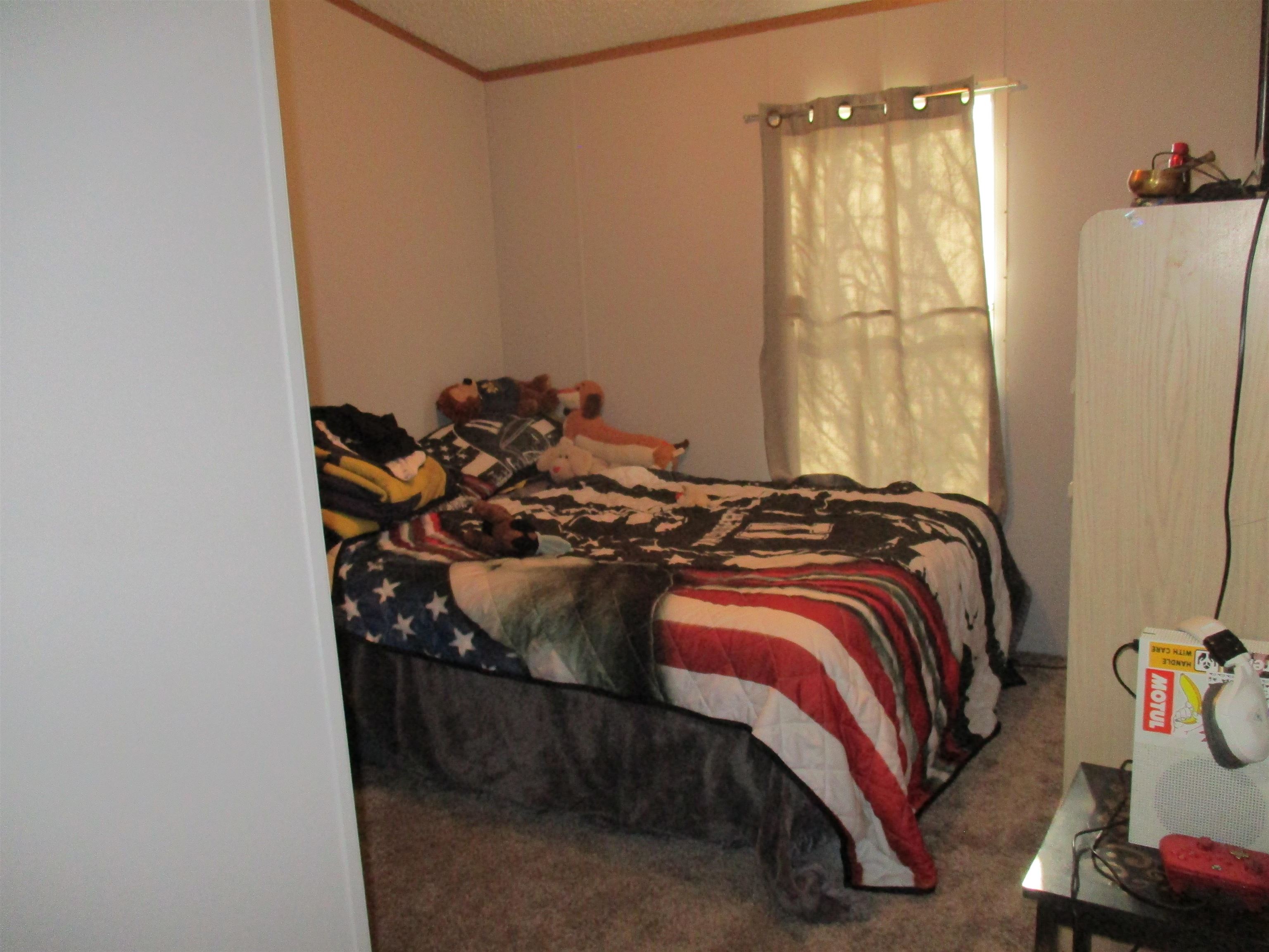 891-885 North Warner Road Sumner, MI 48889 - Photo 6 of 8