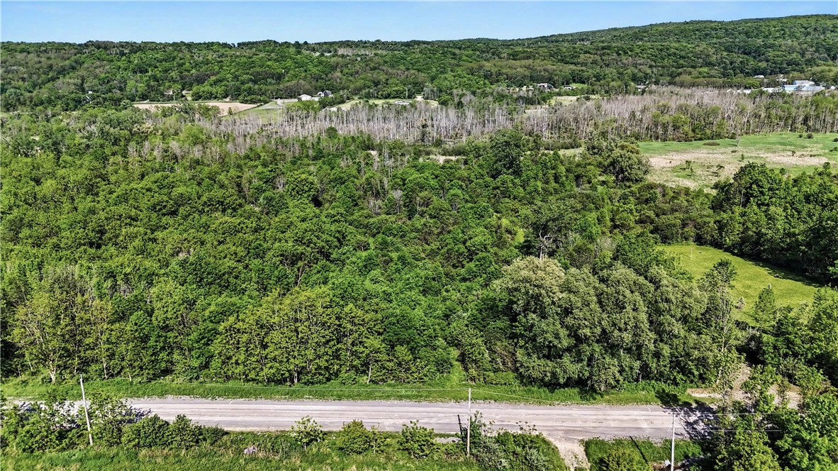 Case Road Canandaigua, NY 14424 - Photo 9 of 12