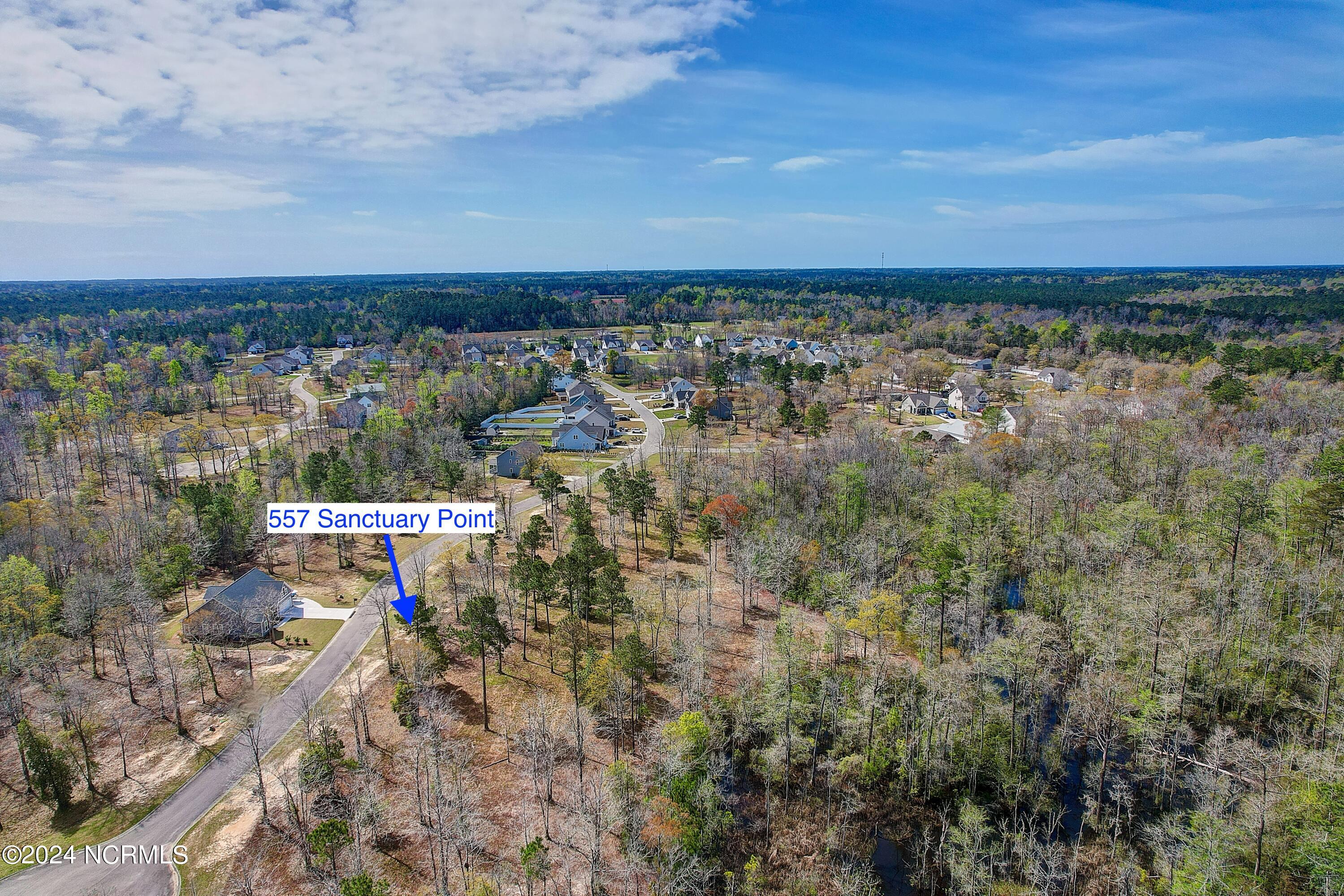 557 Sanctuary Point Southwest Supply, NC 28462 - Photo 21 of 22 557SanctuaryPoint - 17