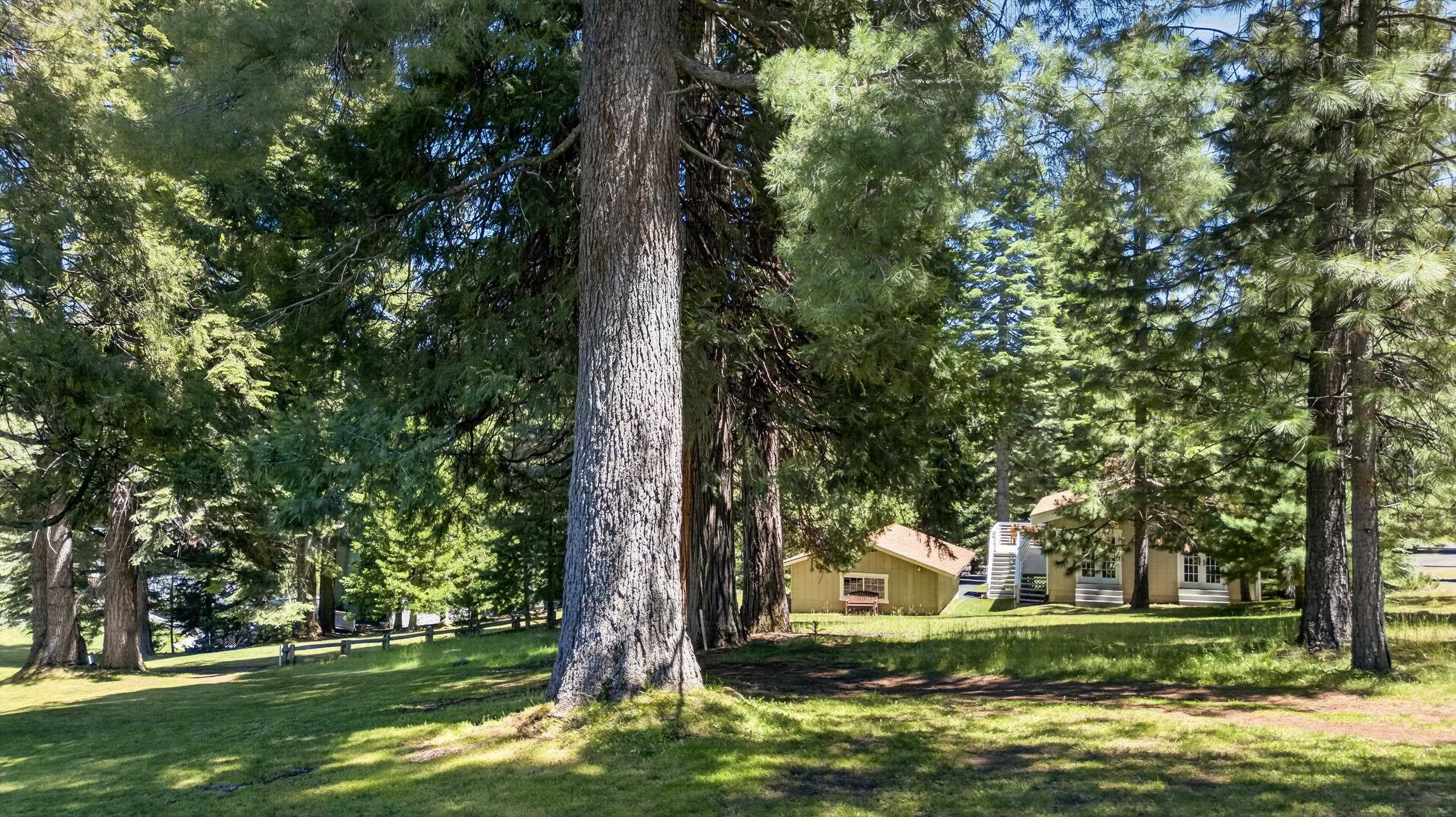 1111 Lake Ridge Road Lake Almanor, CA 96137 - Photo 37 of 47