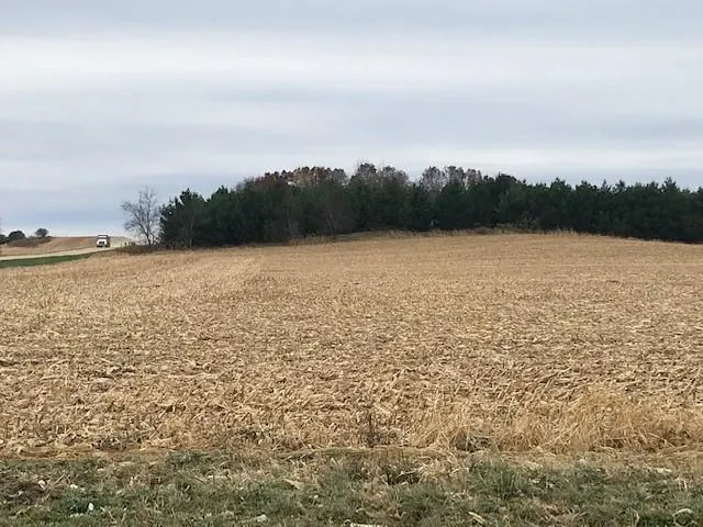 $596,000 | Tbd Tbd New Haven Northwest, Pine Island, MN 55963