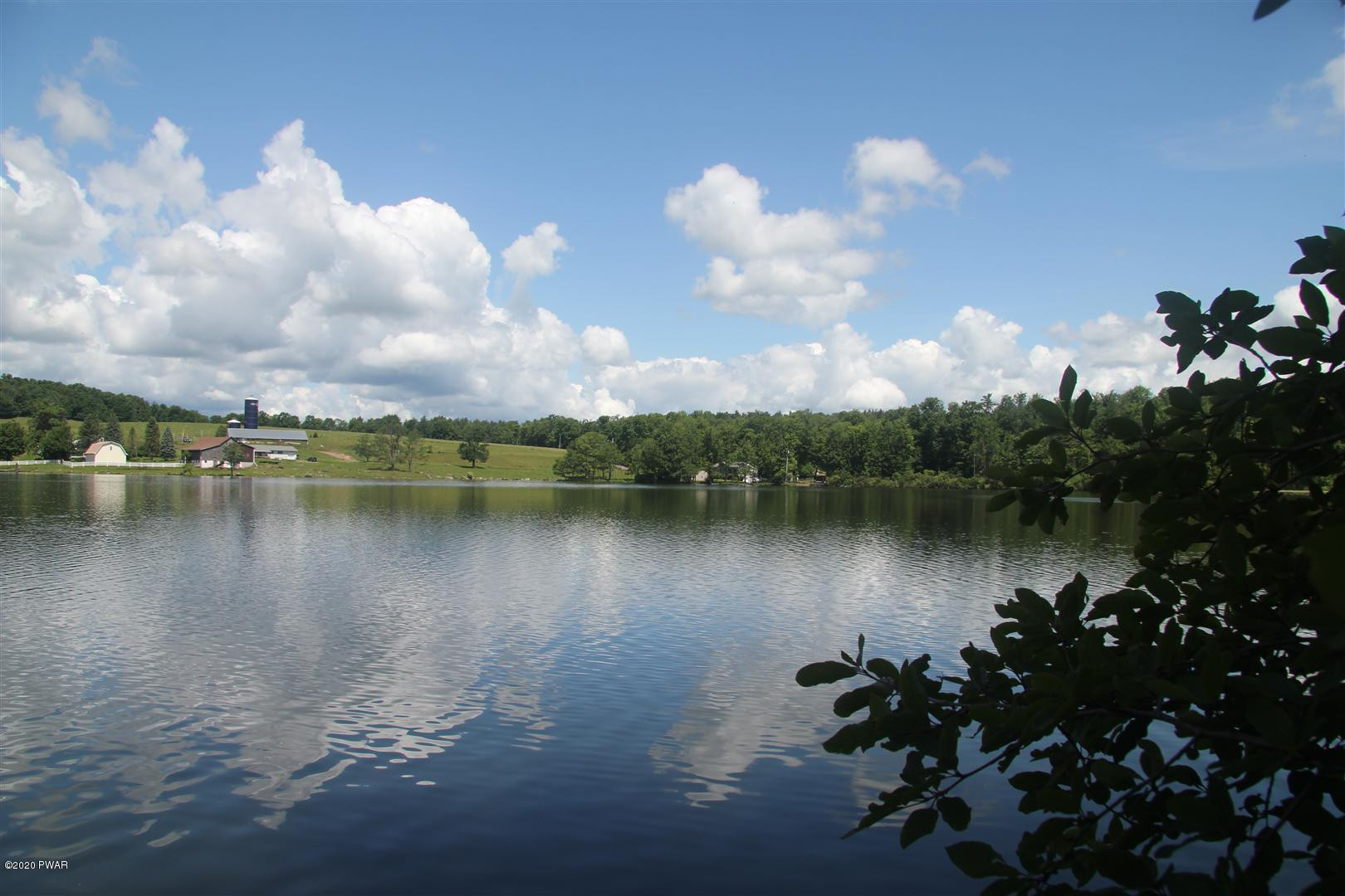 Lot 71 Old Woods Road Equinunk, PA 18417 - Photo 3 of 10