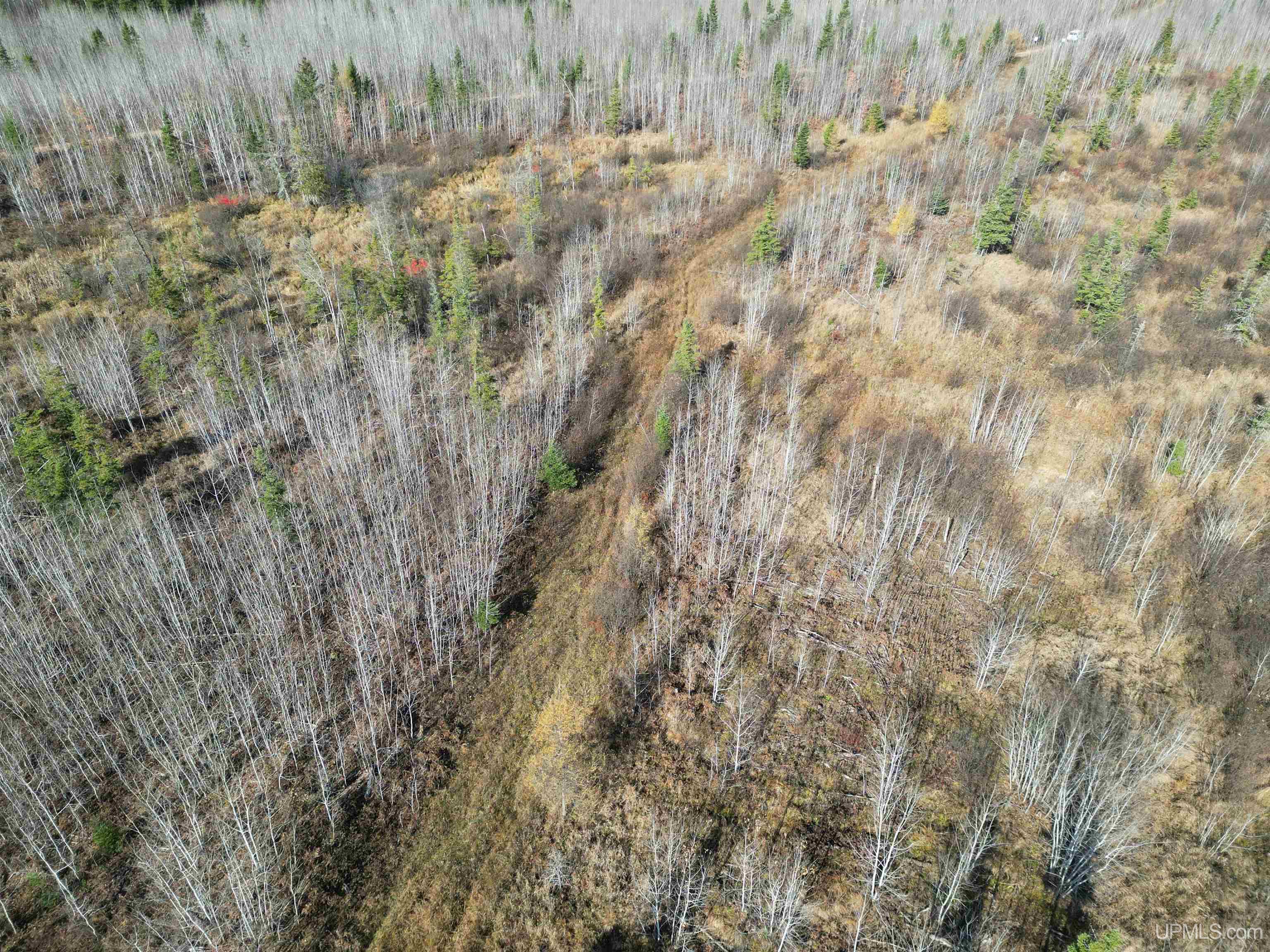 27.5 Rd 28 Acres Trail Gladstone, MI 49837 - Photo 5 of 24