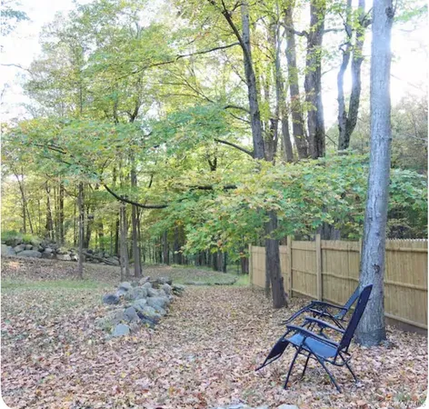 a view of a trees in a yard