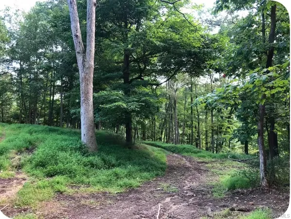 a view of a bunch of trees and bushes