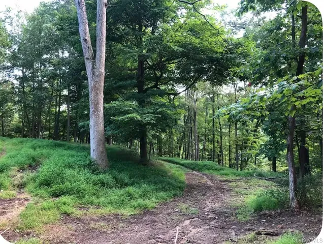 a view of a bunch of trees and bushes