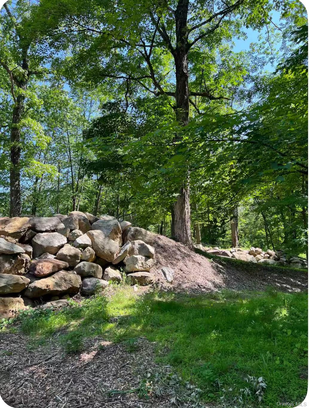 137 Canterbury Road Fort Montgomery, NY 10922 - Photo 20 of 20 a view of a bunch of trees and bushes