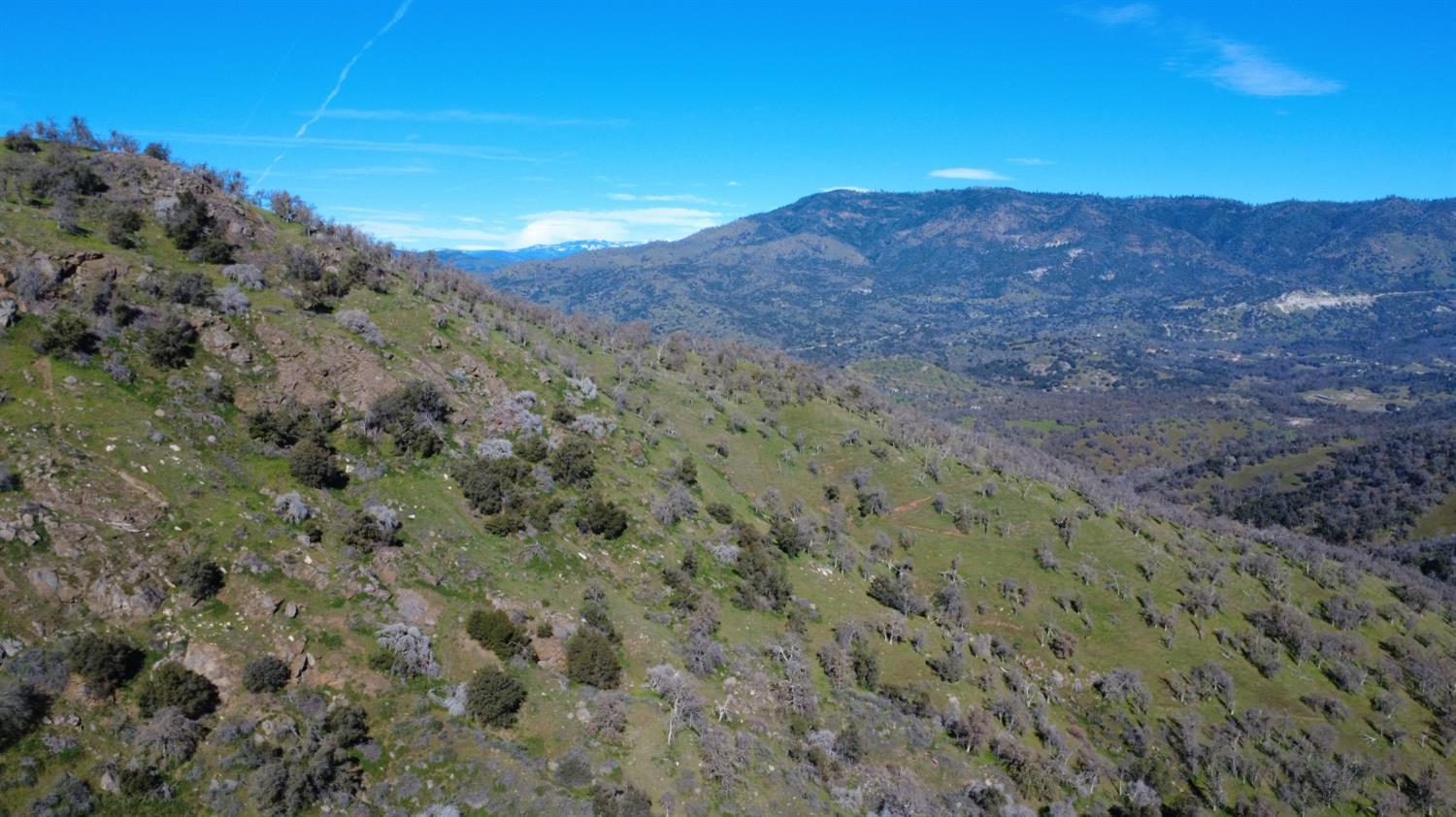0 Ruth Hill Road Squaw Valley, CA 93675 - Photo 27 of 31
