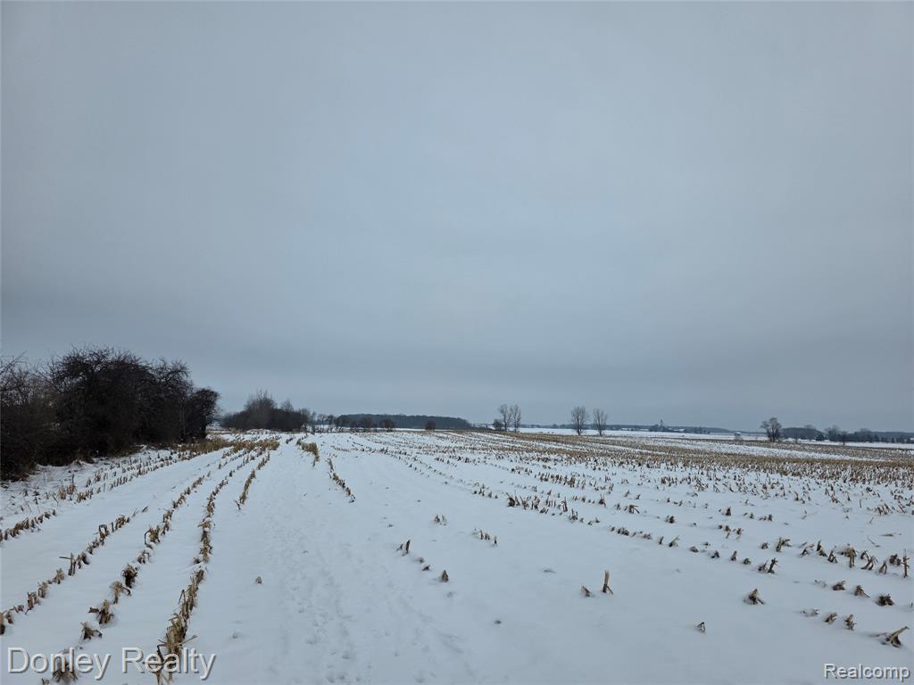 9999 Montgomery Road Marlette, MI 48453 - Photo 9 of 10 Gallery Image 9