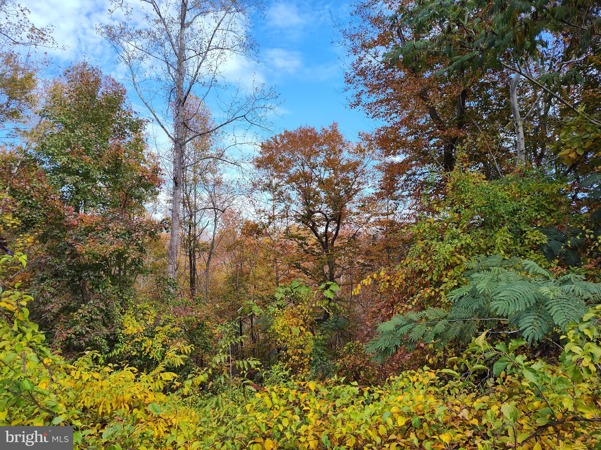 Over 7 acres in Huntingtown