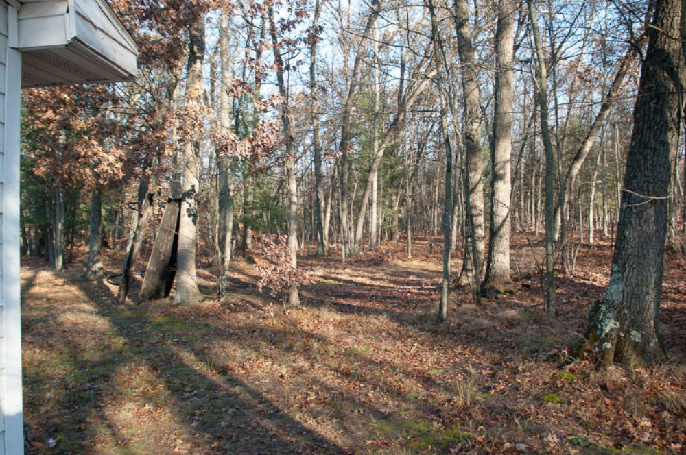 21980 Jefferson Road Morley, MI 49336 - Photo 6 of 27 IMGP0011