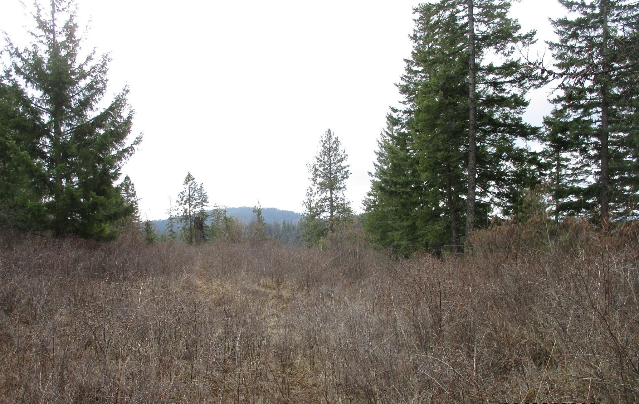 18-xxx East Miner Road Mead, WA 99021 - Photo 21 of 40