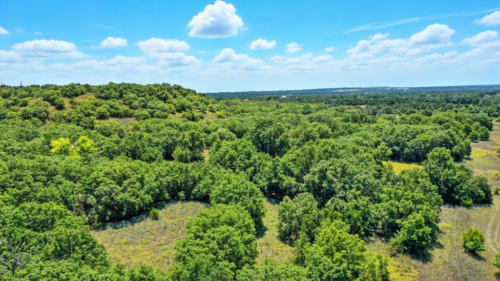 395 Pepper Lane Weatherford, TX 76088 - Photo 20 of 24 Drone / aerial view of a heavily wooded area