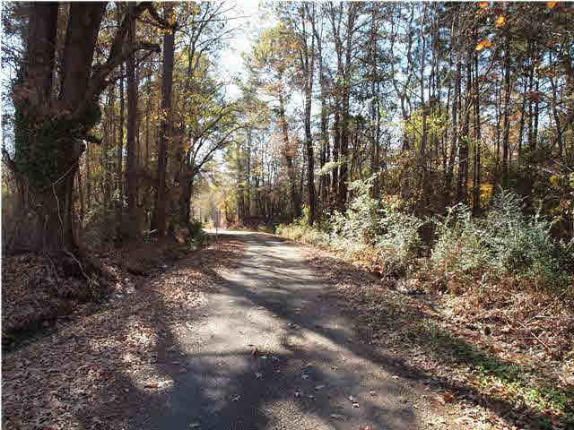 0 Grown Williams Road Canton, MS 39046 - Photo 3 of 3 Photo 3