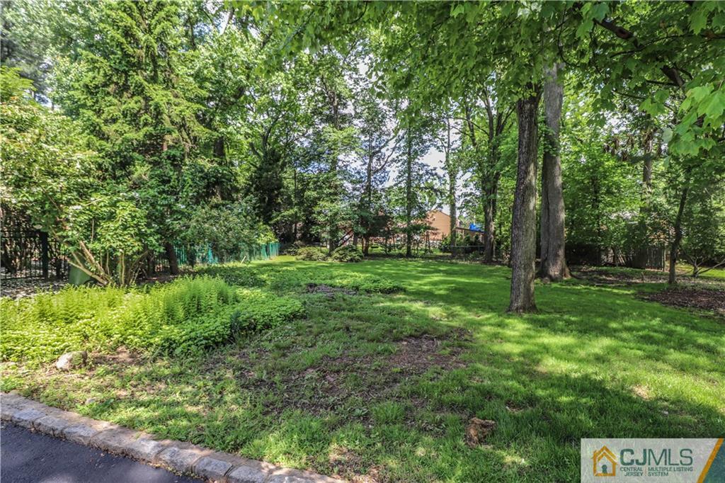 4 Southfield Road Edison, NJ 08820 - Photo 45 of 46 a view of outdoor space and yard