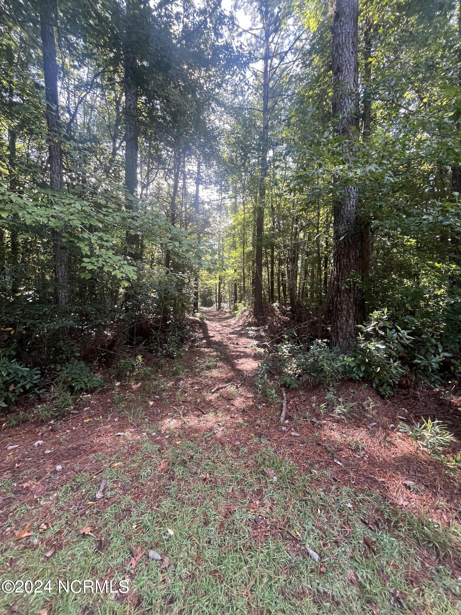 3 East Davis Road Jacksonville, NC 28546 - Photo 7 of 9 6