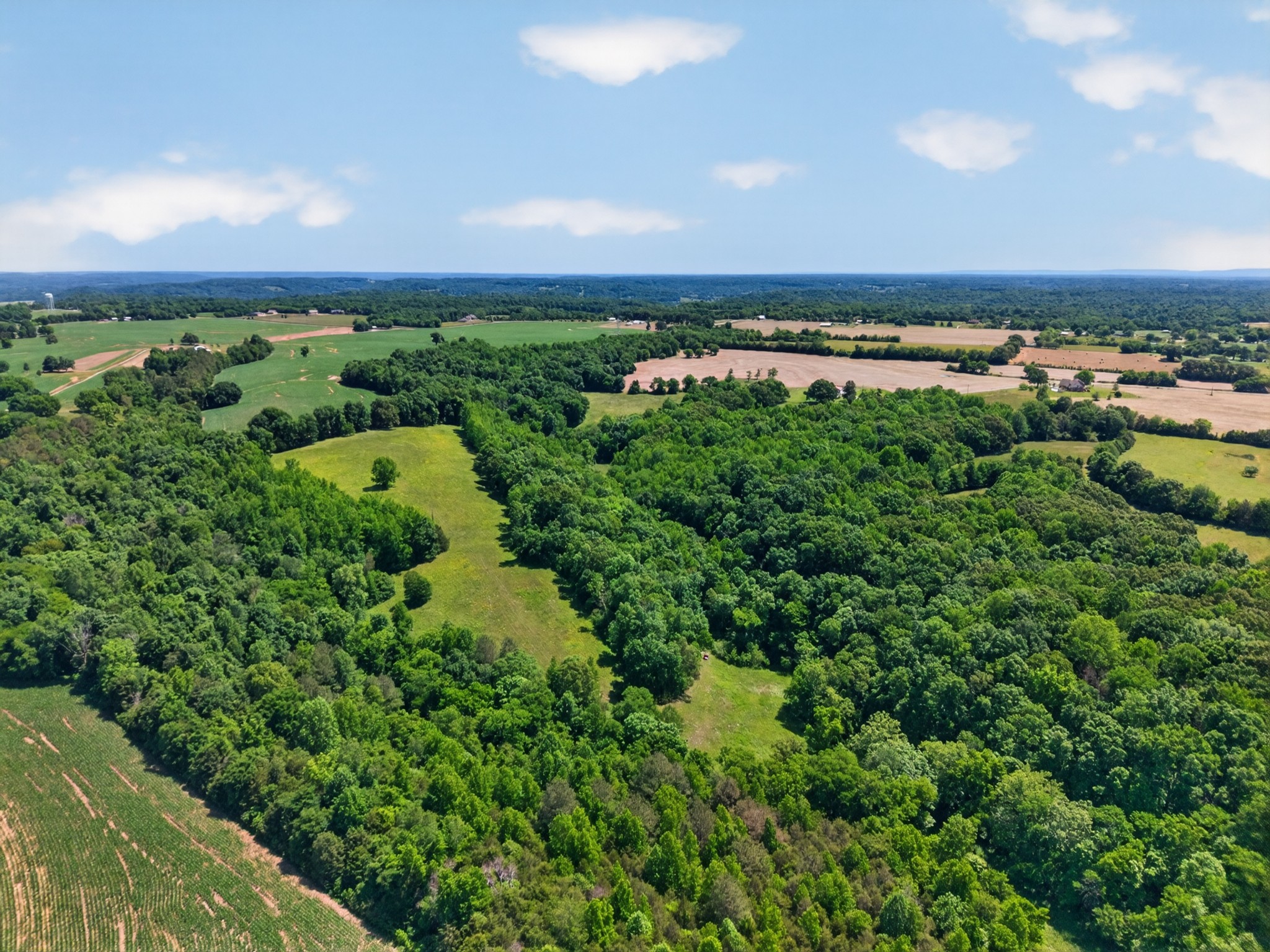 37 Old McLemore Road Taft, TN 38488 - Photo 14 of 57