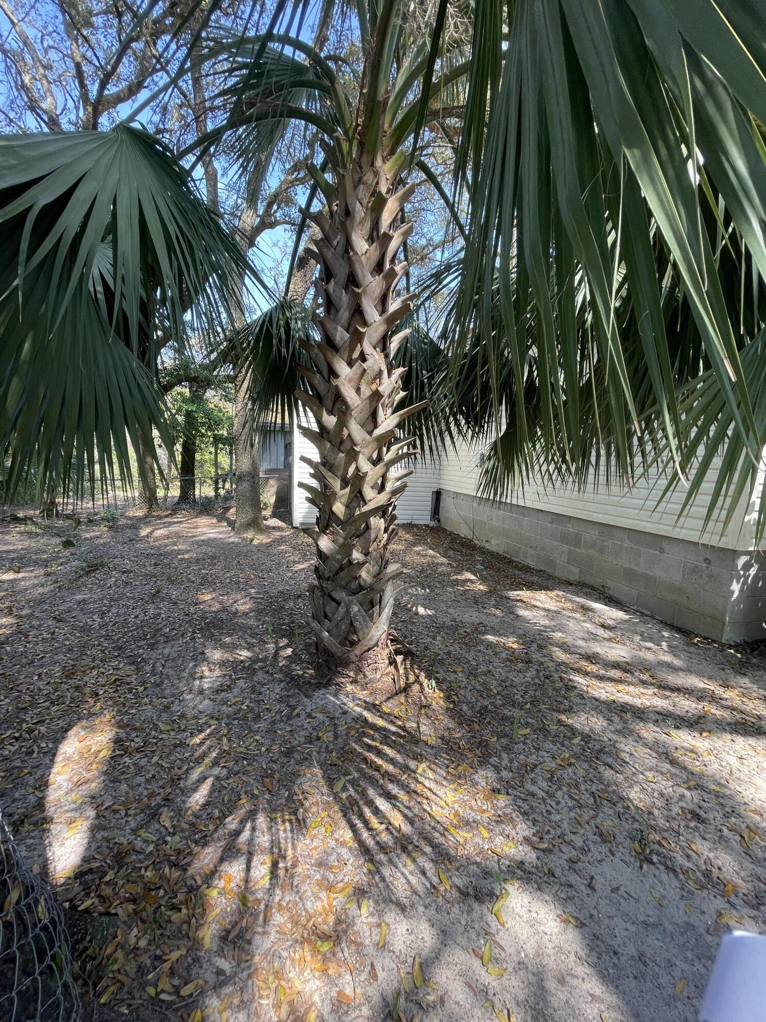 133 3rd Street, Unit B Niceville, FL 32578 - Photo 32 of 32 a view of a yard with a tree
