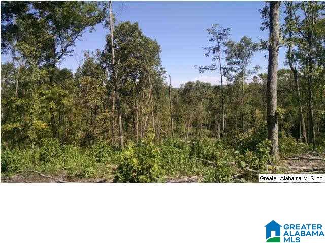 0 Beaver Ridge Drive, Unit 42 48 Ashville, AL 35953 - Photo 16 of 26