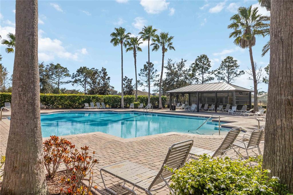 4042 Eternity Circle St. Cloud, FL 34772 - Photo 35 of 35 a view of a swimming pool with a yard