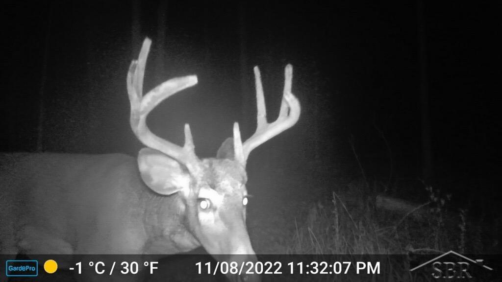 0 Carter Pinconning, MI 48650 - Photo 27 of 29 50108167-26.JPG