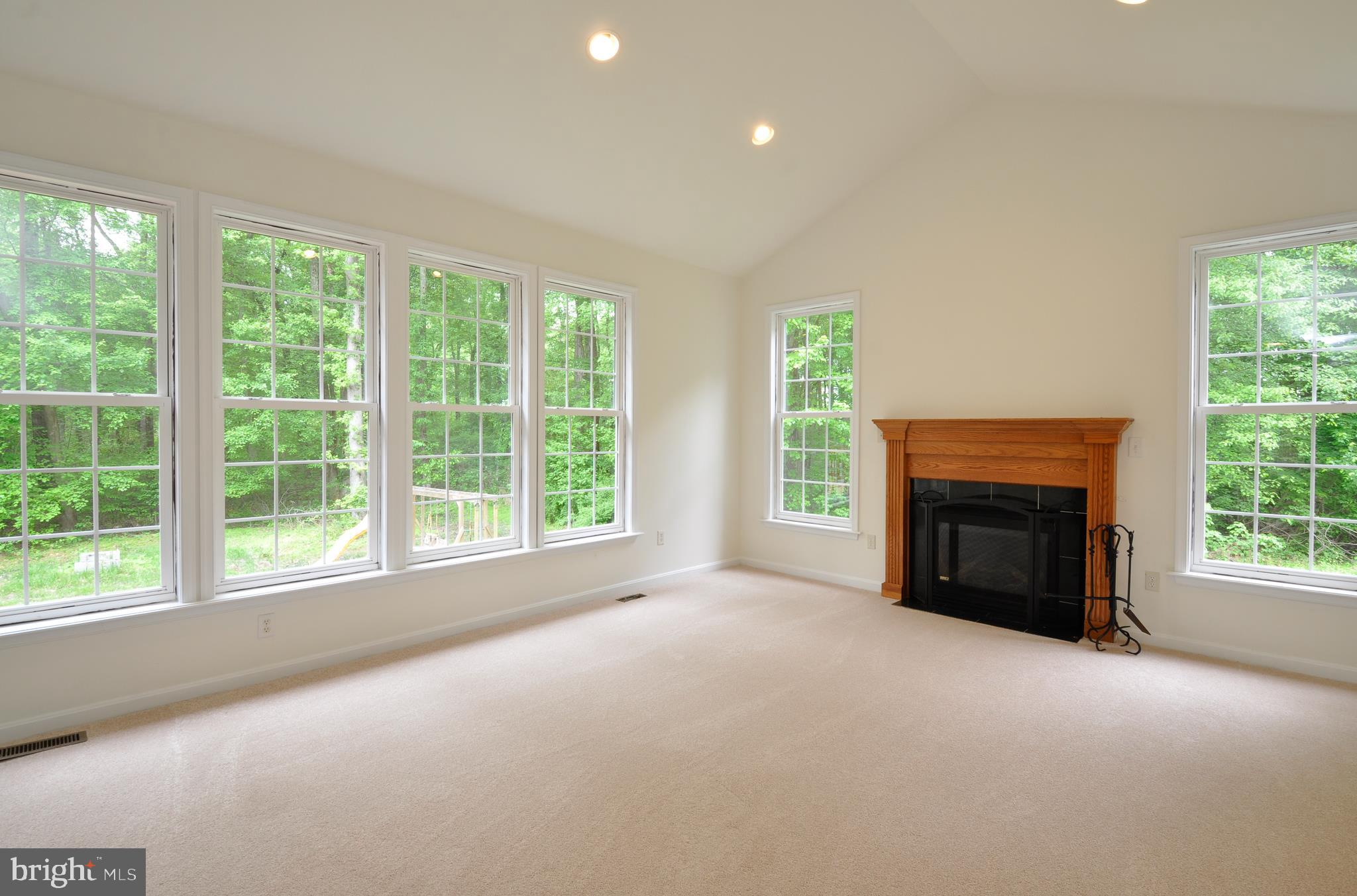 16257 Bundock Road King George, VA 22485 - Photo 1 of 32 Family room- cathedral ceiling, gas FP, new carpet