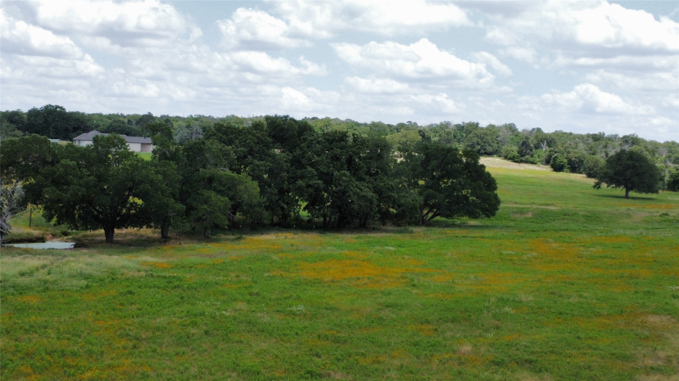 174 Wilson Road, Unit A Elgin, TX 78621 - Photo 18 of 34 a backyard of a house with lots of green space