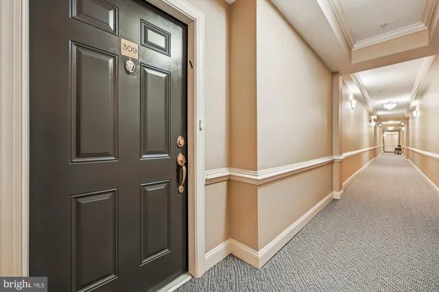 a view of a hallway with closet and front door