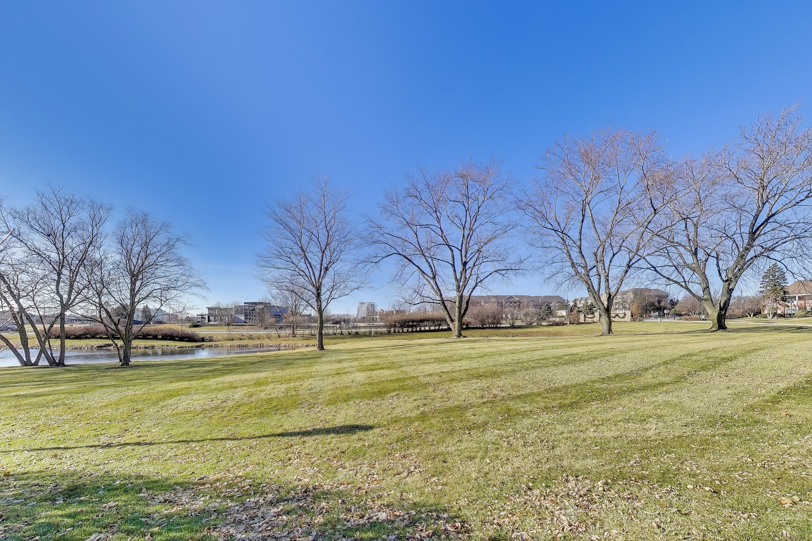 20 North Tower Road, Unit 8E Oak Brook, IL 60523 - Photo 30 of 31 a view of an ocean with a building in the background
