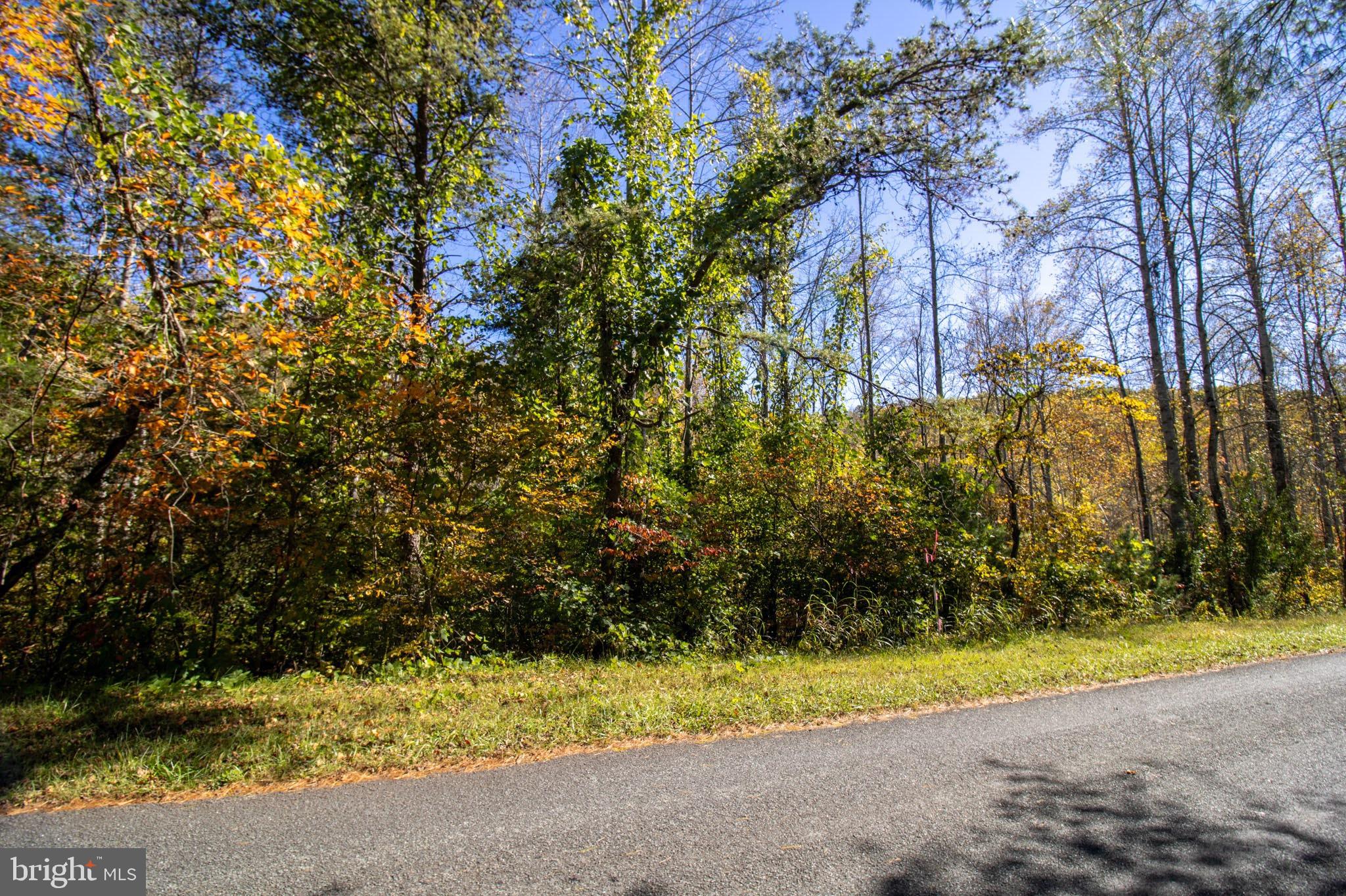 Republican Church, Unit 2 Ferrum, VA 24088 - Photo 35 of 48 a view of road with large trees