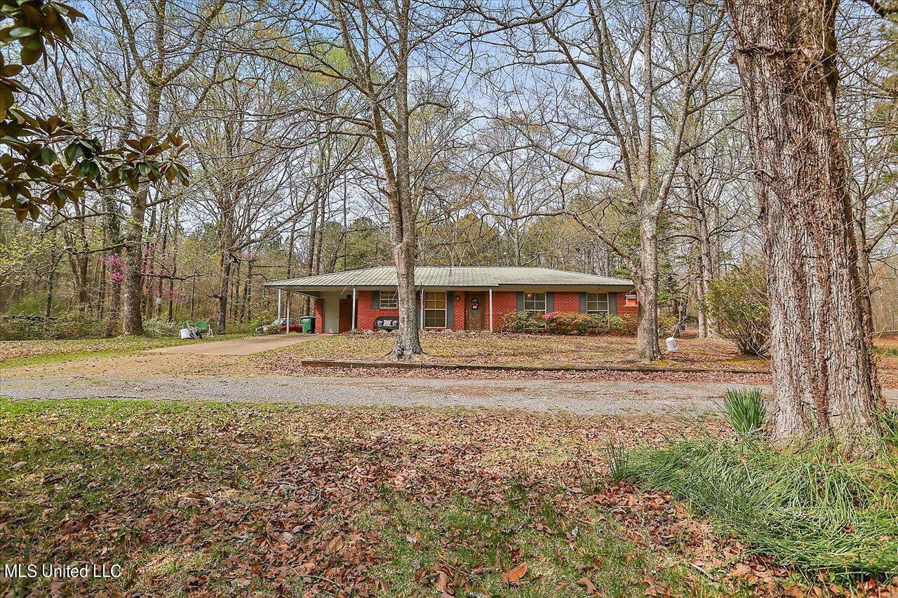 285 Harkins Road Carthage, MS 39051 - Photo 3 of 25 01-285 Harkins Rd