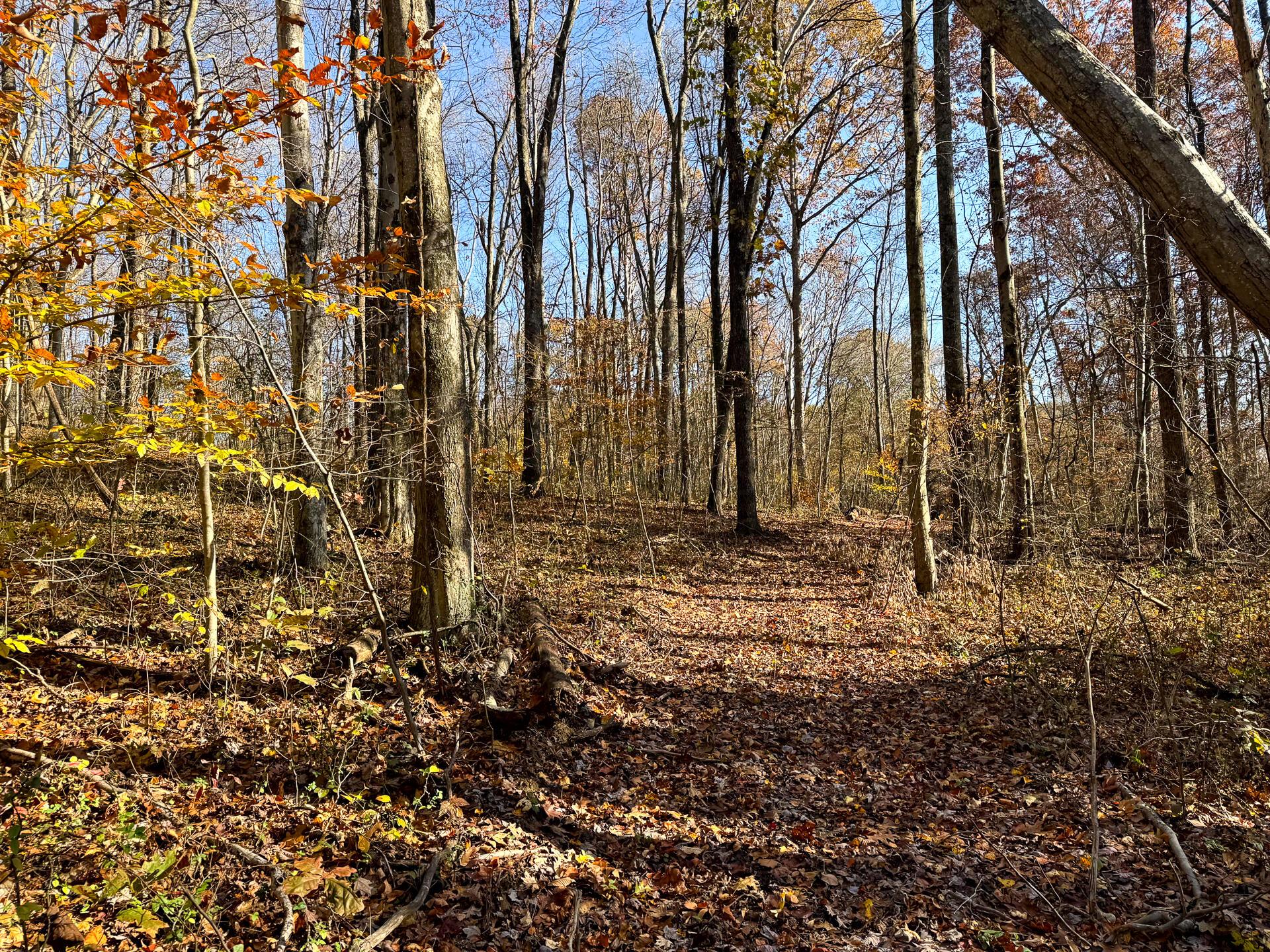 929 Poplar Ridge Road, Unit PONDS POPLAR RIDGE TRACT 14) Gallipolis, OH 45631 - Photo 20 of 30 CT-20