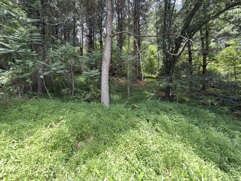 Tbd Tbd Little Vine Road Hillsville, VA 24343 - Photo 33 of 43 Gallery Image 33
