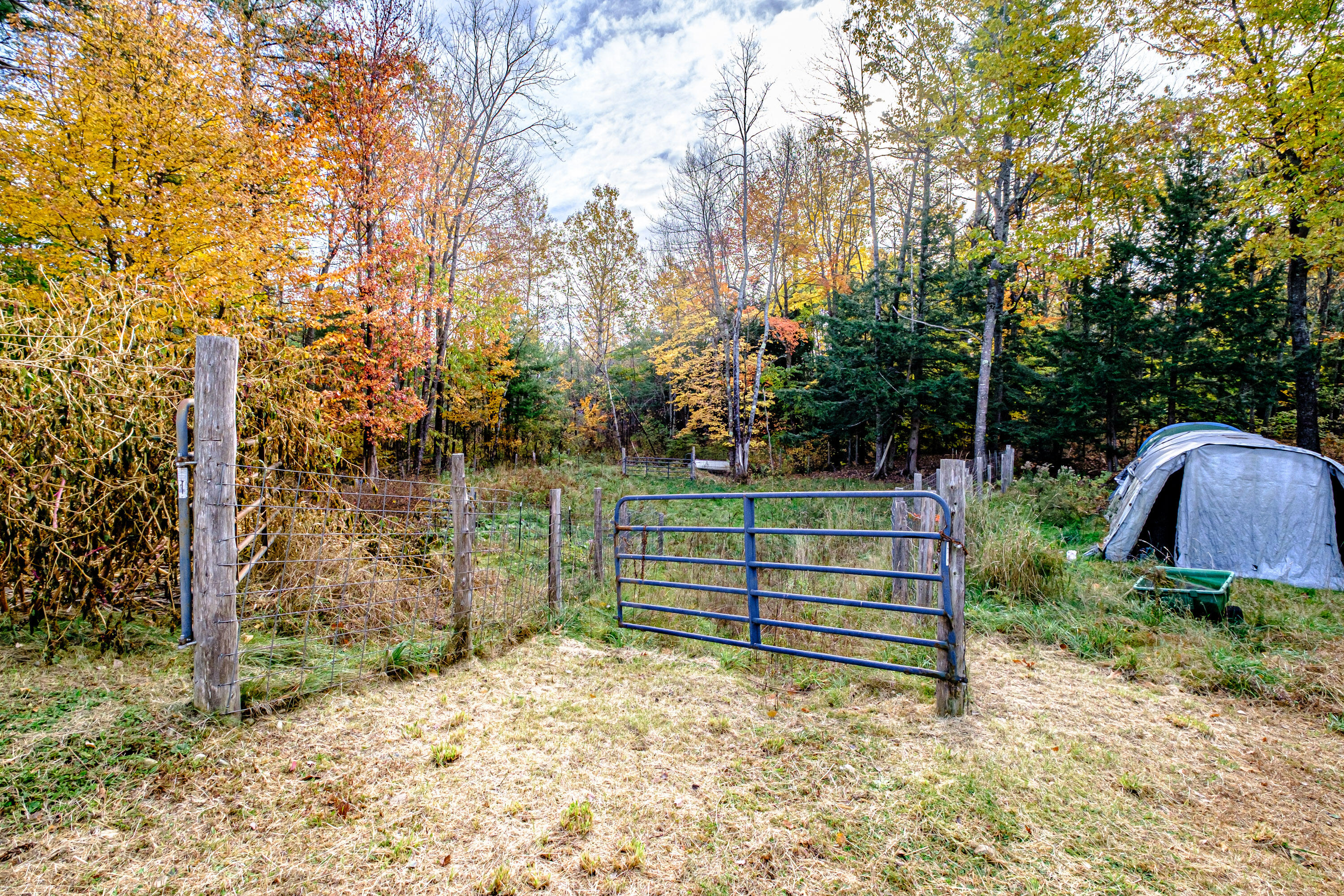 9 Carl Burnell Road East Baldwin, ME 04024 - Photo 75 of 102 20241021gp-60040