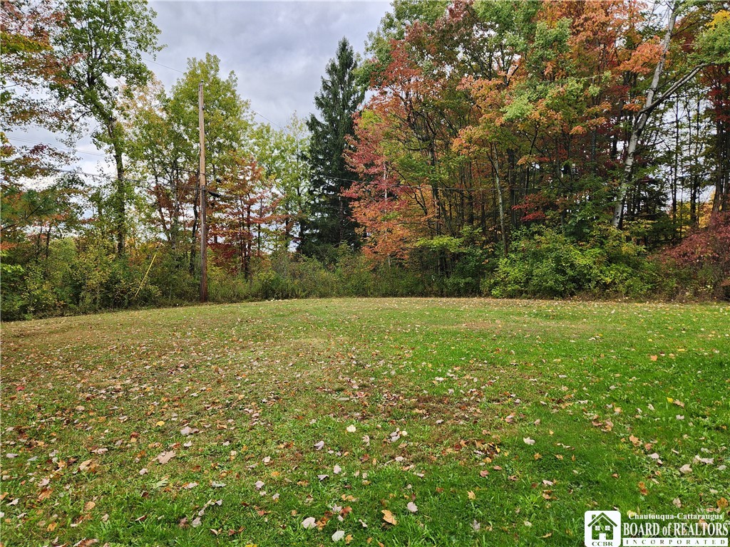 1278 Scott Road Carroll, NY 14738 - Photo 1 of 1