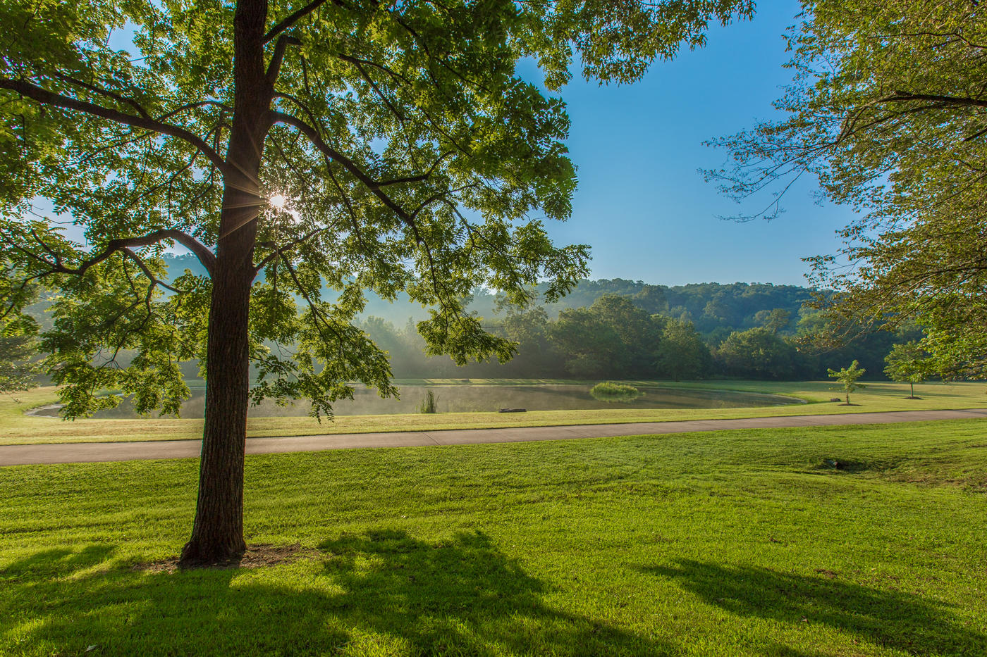 649 Spivey Road Ringgold, GA 30736 - Photo 4 of 55 Acreage