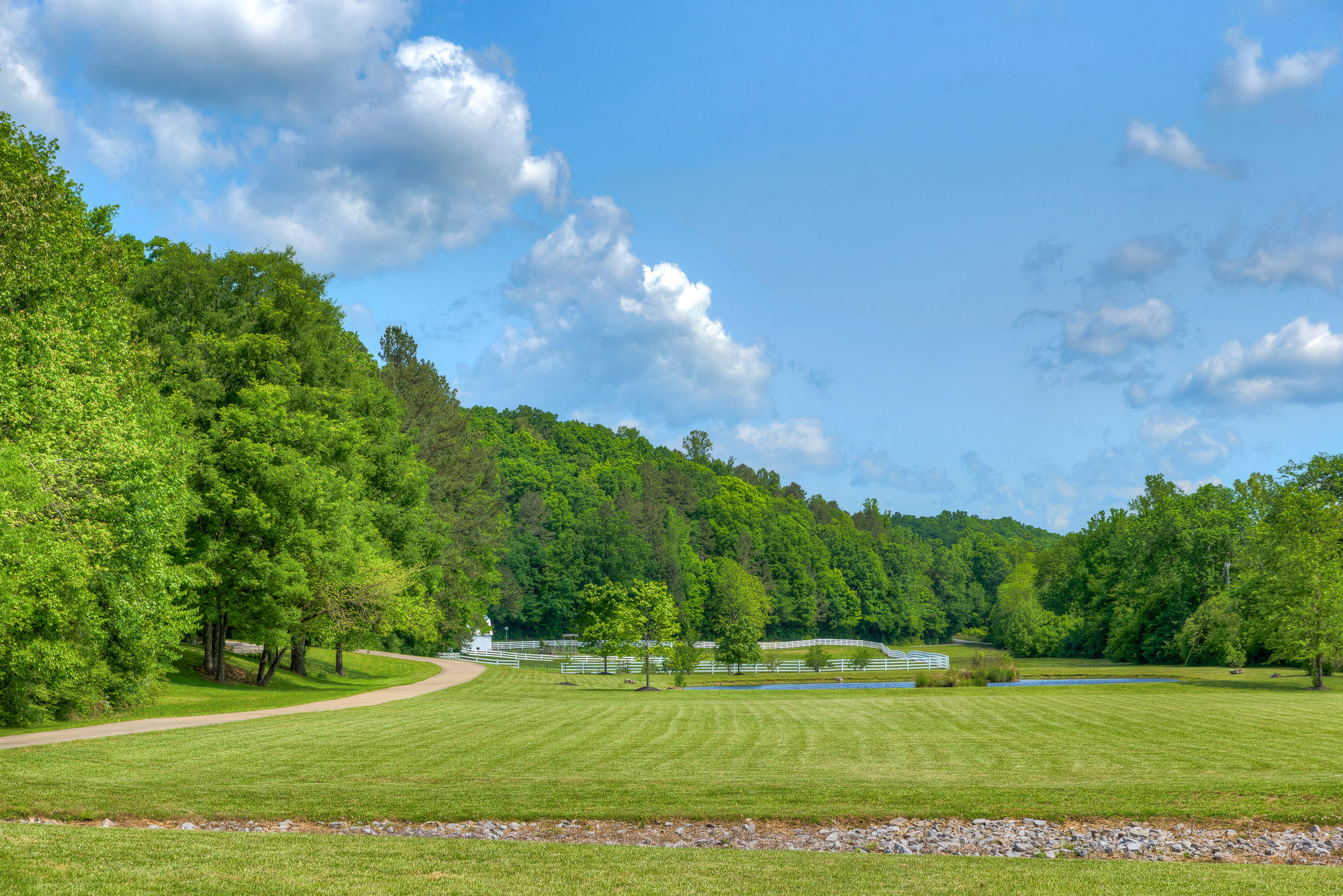649 Spivey Road Ringgold, GA 30736 - Photo 50 of 55 Acreage