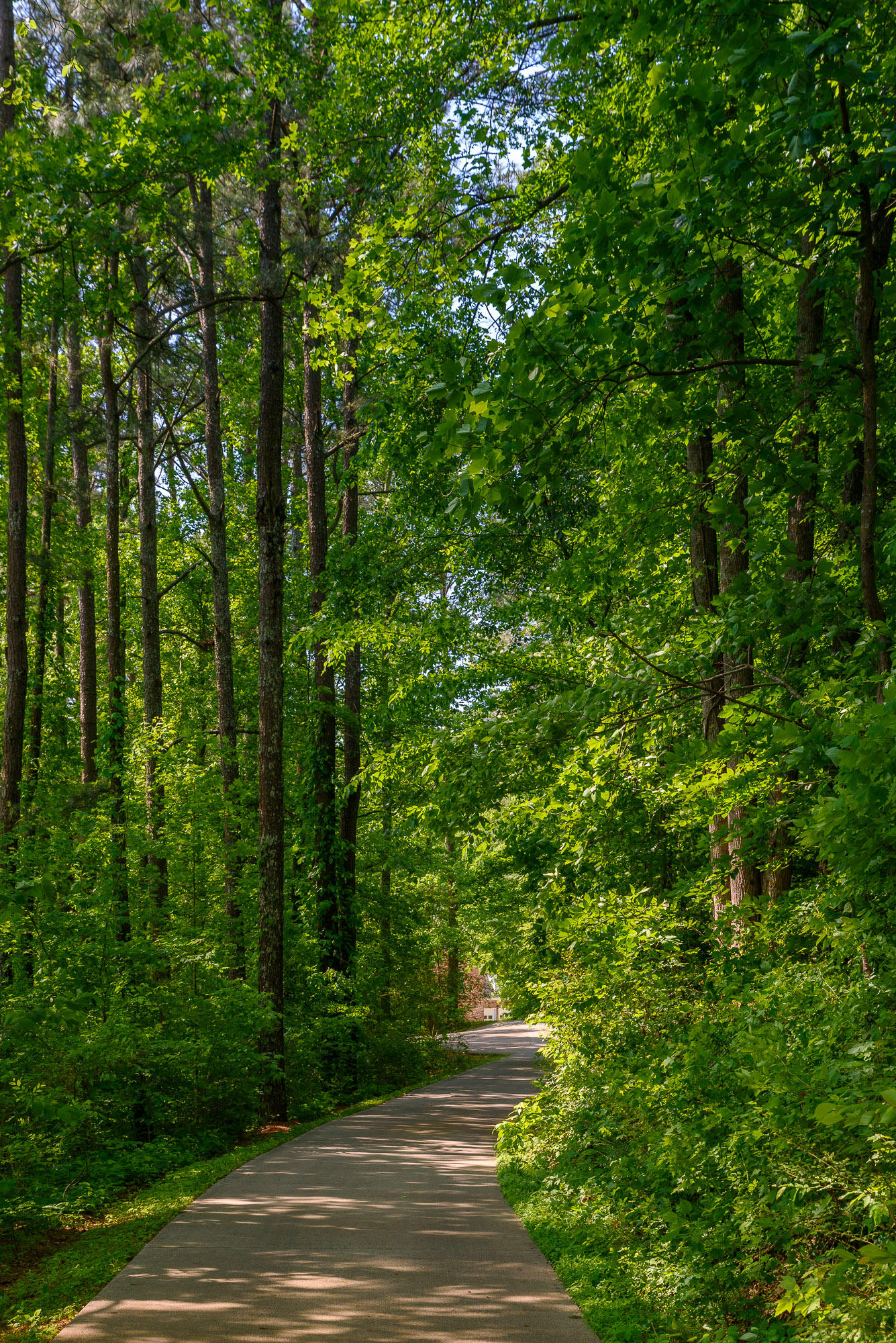 649 Spivey Road Ringgold, GA 30736 - Photo 8 of 55 Driveway